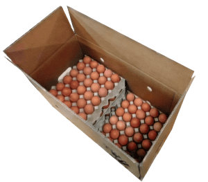 30 Dozen Eggs Wholesale | Eggs Unlimited