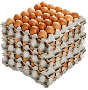 30 Dozen Eggs Wholesale | Eggs Unlimited