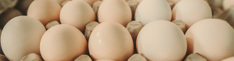 15 Dozen Eggs Wholesale | Eggs Unlimited