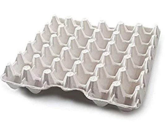 disposable eggs tray eggs unlimited offer for wholesale eggs , bulk eggs, loose eggs, cage free eggs , organic eggs , conventional eggs, market analysis 