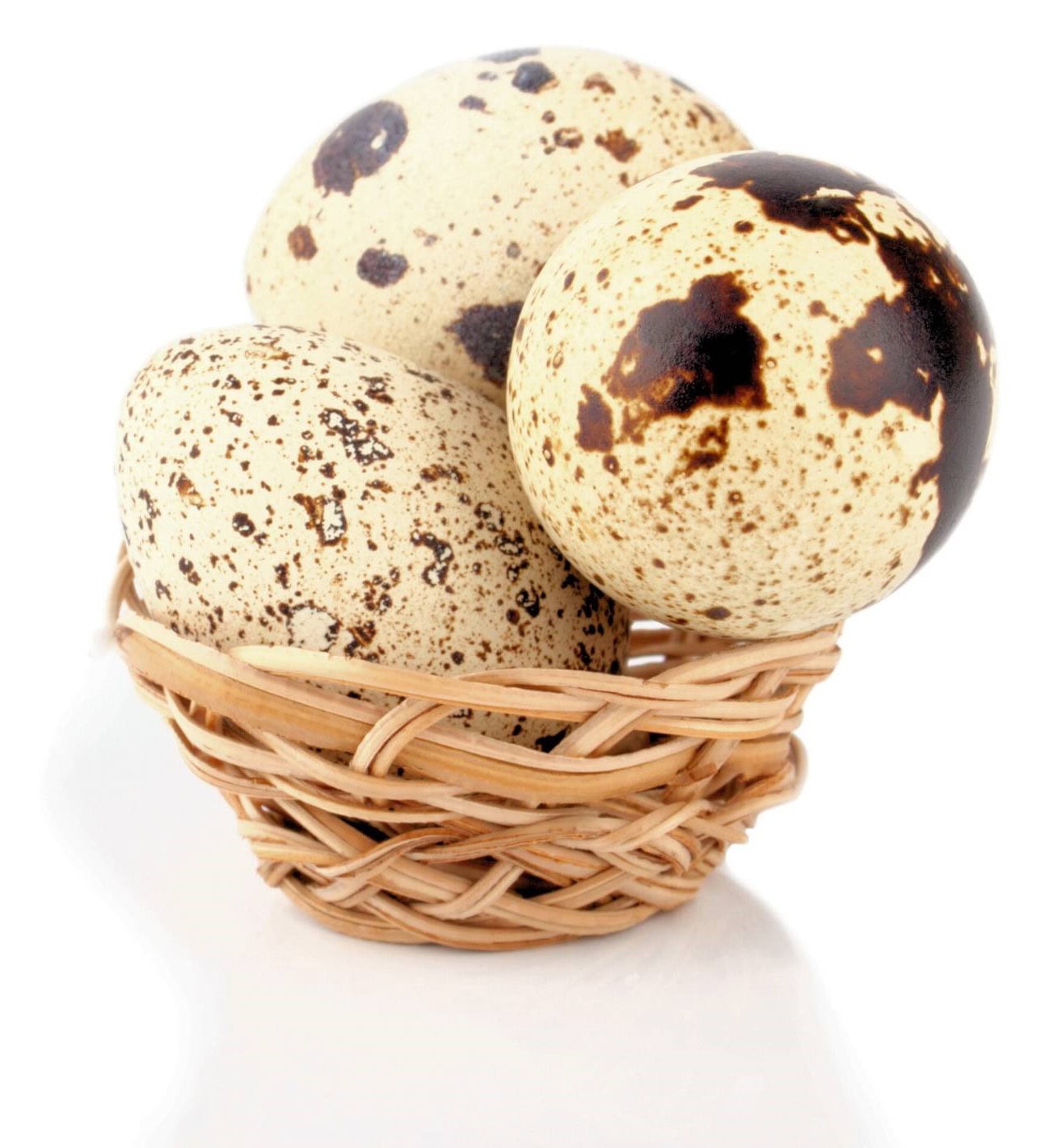 Eggs Unlimited Specialty eggs bulk wholesale Quail Eggs, Duck Eggs, Blue heirloom eggs (1) eggs wholesaler