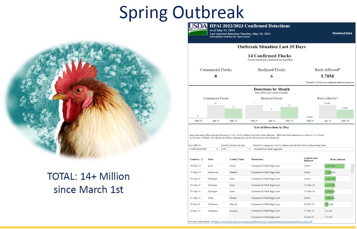 Graph showing the impact of Highly Pathogenic Avian Influenza (HPAI) on U.S. commercial table egg layers since February 2022, with over 70 million layers affected.