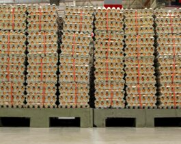 Eggs by the Truckload: Everything You Need to Know