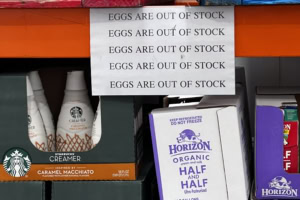 out of stock of eggs