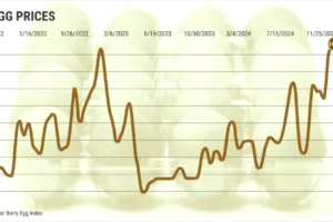 The bird flu is ravaging the nation’s egg-laying flock in yet another seasonal upswing for the disease, says Brian Moscogiuri, an analyst who tracks the industry for Irvine-based distributor Eggs Unlimited. Destroying infected birds is slashing the nation’s ability to keep up with demand. It’s a shortfall that will take months to repair. As a result, the average price of a dozen eggs in California on Tuesday, Jan. 7, was $8.97, according to the U.S. Department of Agriculture. That’s more than double the $4.06 price at last year’s start. In 2023, amid another bird flu outbreak, the price of eggs began the year at $7.37, compared with $2.35 at the beginning of 2022 or $1.34 in 2021.
